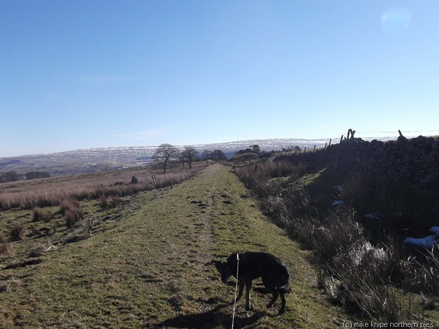 [bowlees%2520and%2520rookhope%2520reccy%2520021%255B6%255D.jpg]