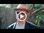 IMAGE_3CED5631-3A1C-4F35-A6C5-ABA7B1FCC5FE.mp4