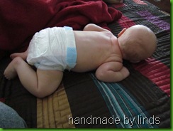 car seat tent 004 car seat tent 004