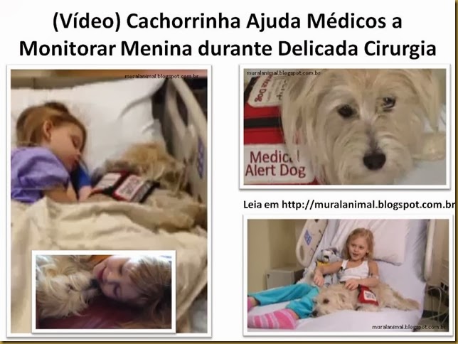 Vídeo) Cachorrinha Ajuda Médicos a Monitorar