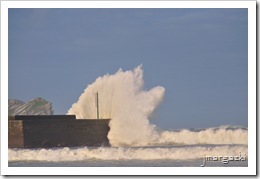 DSC_3794 DSC_3794