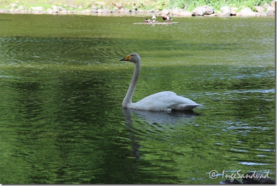 IMG_0631 IMG_0631