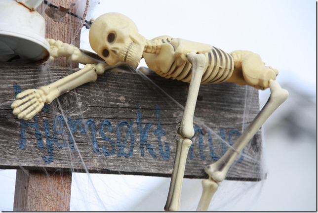 halloween dekor IMG_8140