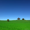 crestock-160333-1600x1200.jpg