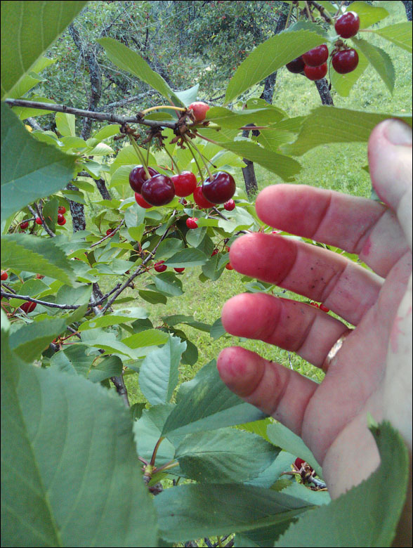 IMAG0376.jpg