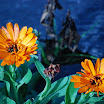 South 47 farm and fall colors 150.JPG