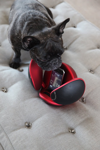 Why Sharkey! The ball opens out like wings and it has an iPod dock.  Don't you think it has really great sound?  We can definitely share this!