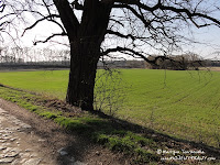 dsc07354.jpg