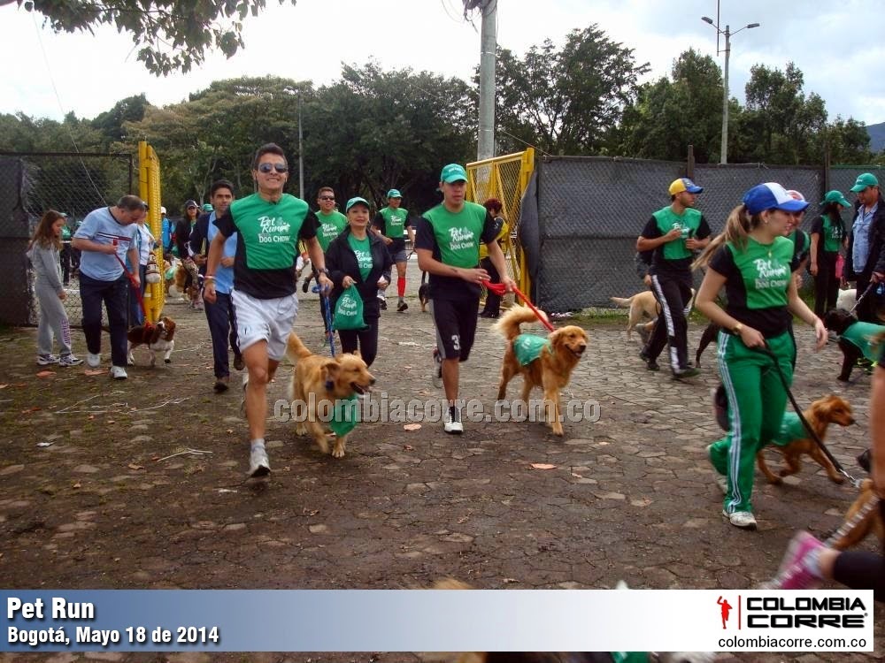 pet run bogota 2014