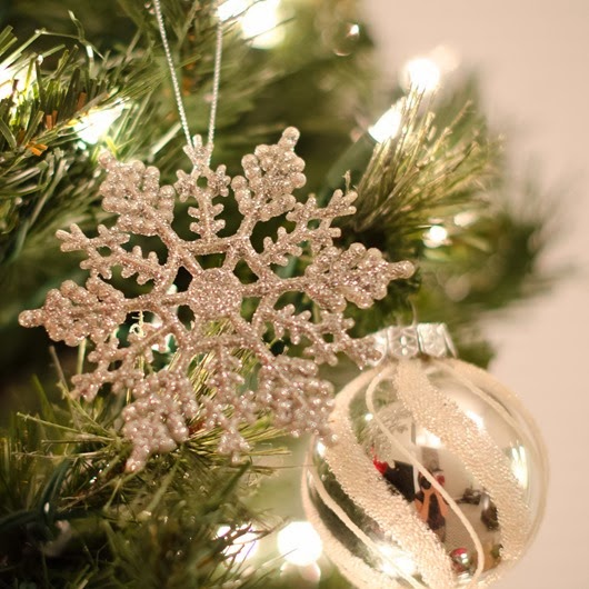 [December%2520Fun-14%255B16%255D.jpg]