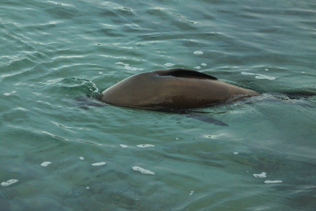 [IMG_0823%255B2%255D.jpg]