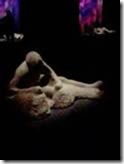 3601166_com_pompei_remains_1 3601166_com_pompei_remains_1