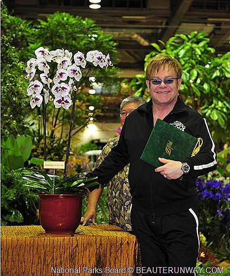 Elton John Doritaenopsis Marina Bay Sands  ORCHID  20th WORLD ORCHID CONFERENCE SINGAPORE