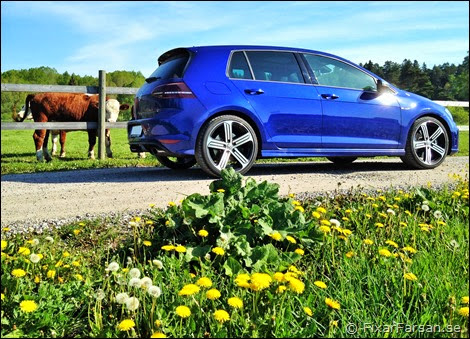 Review-Golf-R-2014