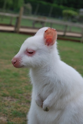 [DSC_0034%255B4%255D.jpg]