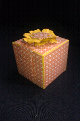 Stampin Up Suprise Box Stampin Up Suprise Box