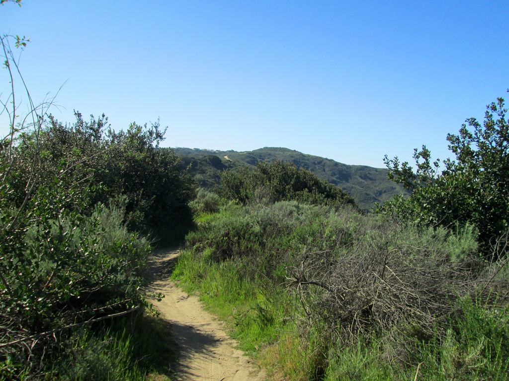 [IMG_4373%255B4%255D.jpg]
