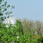 IMG_7204.JPG