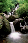 Sprachaufenthalt Killarney