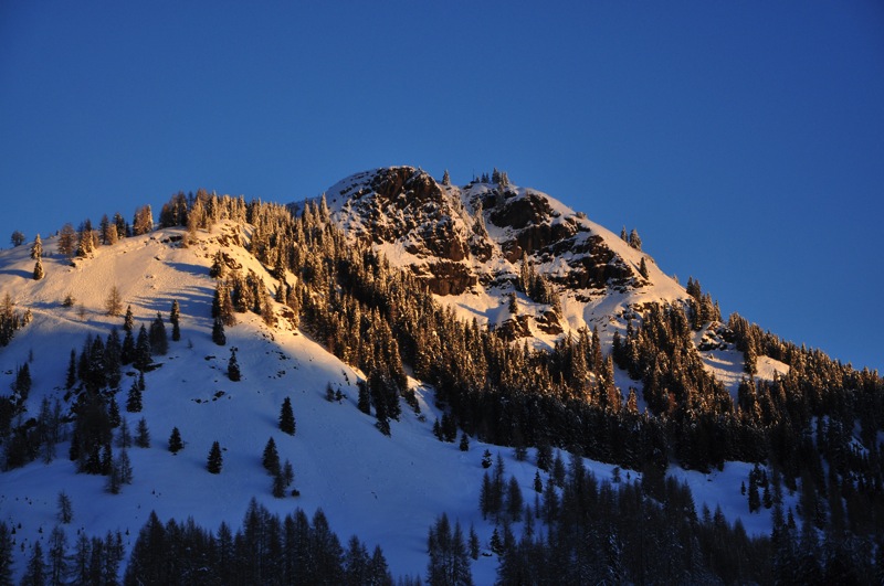 DSC_5942.JPG DSC 5942