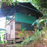Detalhe de nossa casa na selva - Golfito - Costa Rica