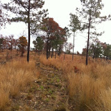 Hunting Habitat 3, Anderson Creek