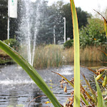 IMG_1653.JPG