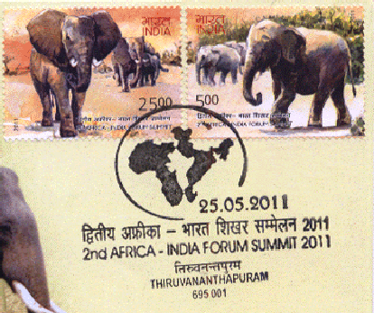 elephant front 1