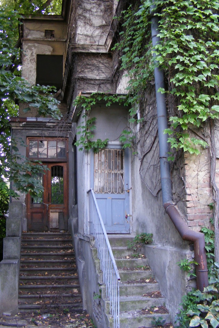 DSCF0346.JPG