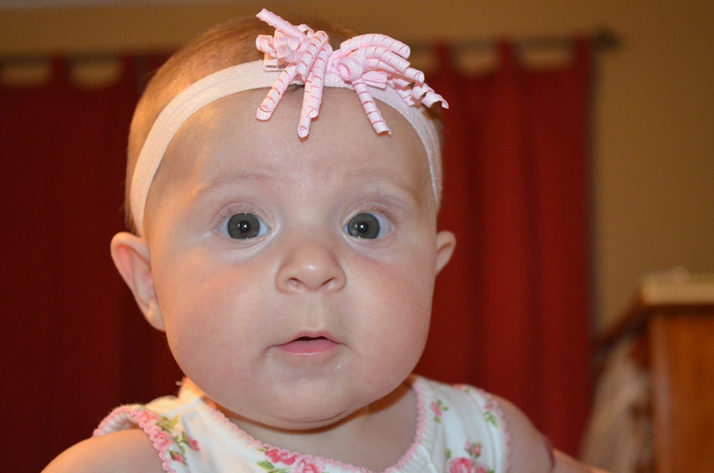 [DSC_4955%255B4%255D.jpg]