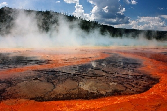 PARQUE NACIONAL DE YELLOWSTONE PARQUE NACIONAL DE YELLOWSTONE