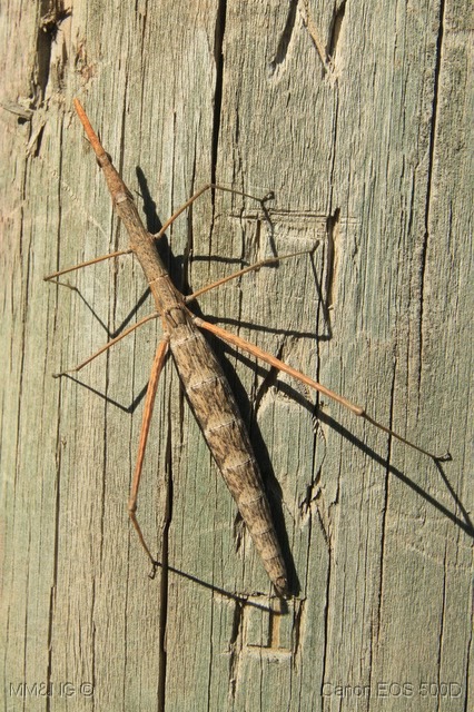 [IMG_4081%255B7%255D.jpg]