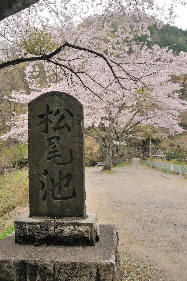 松尾池
