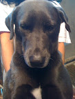 BALOO
