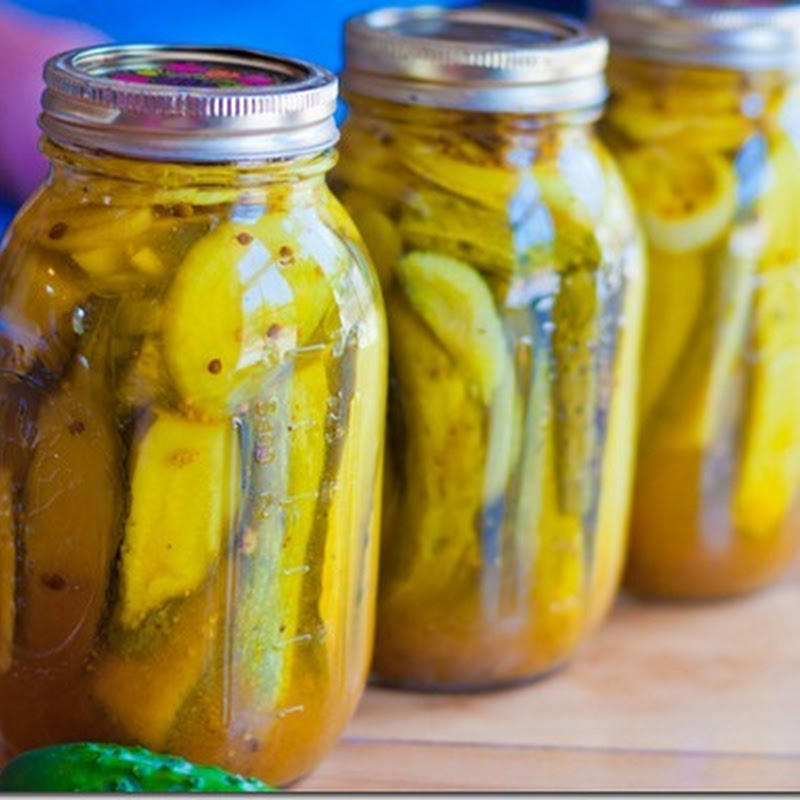 Pickling time - Zesty bread and butter pickles