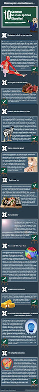 MJ-Infographic-Final1