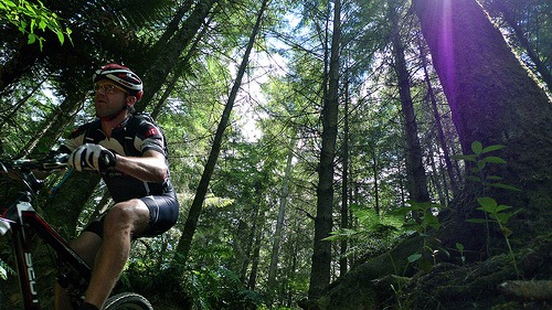 [Rotorua-Mountain-Biking-3%255B3%255D.jpg]