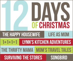 [twelve-days-of-christmas-300-ad%255B2%255D.jpg]