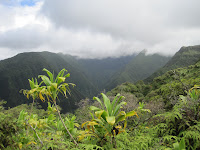 Waihee gorge.
