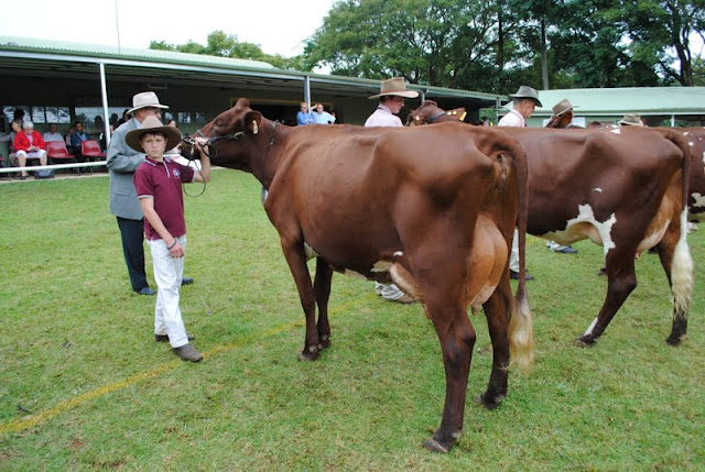 Champion Junior & Patrick Noakes.JPG