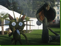 IMG_8341 IMG_8341