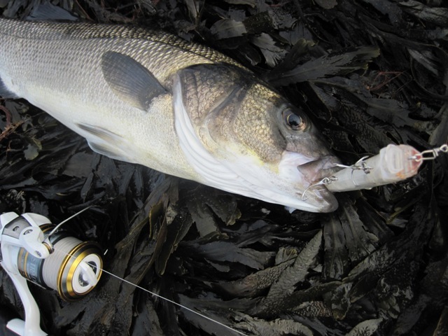 [IMG_0667%255B7%255D.jpg]