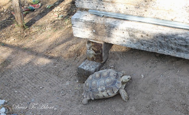 [1-IMG_3572%255B3%255D.jpg]