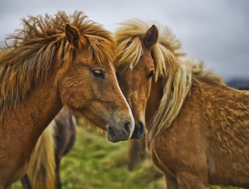 from the blog www.stuckincustoms.com