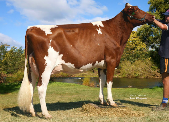 Happy Valley Maiden 23.jpg