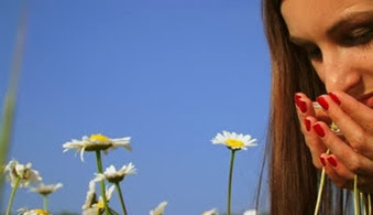 stock-footage-woman-admiring-daisies-in-a-field-close-up-admiring-flowers