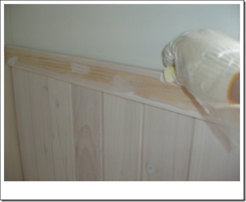Gallery2872_17 Gallery2872_17