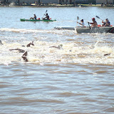 Vuelta a la Isla "Hugo Fontan" - 2011