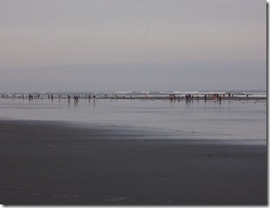 DSC00354 DSC00354