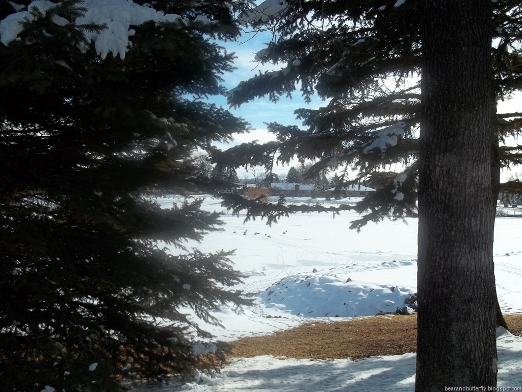 [100_00339.jpg]